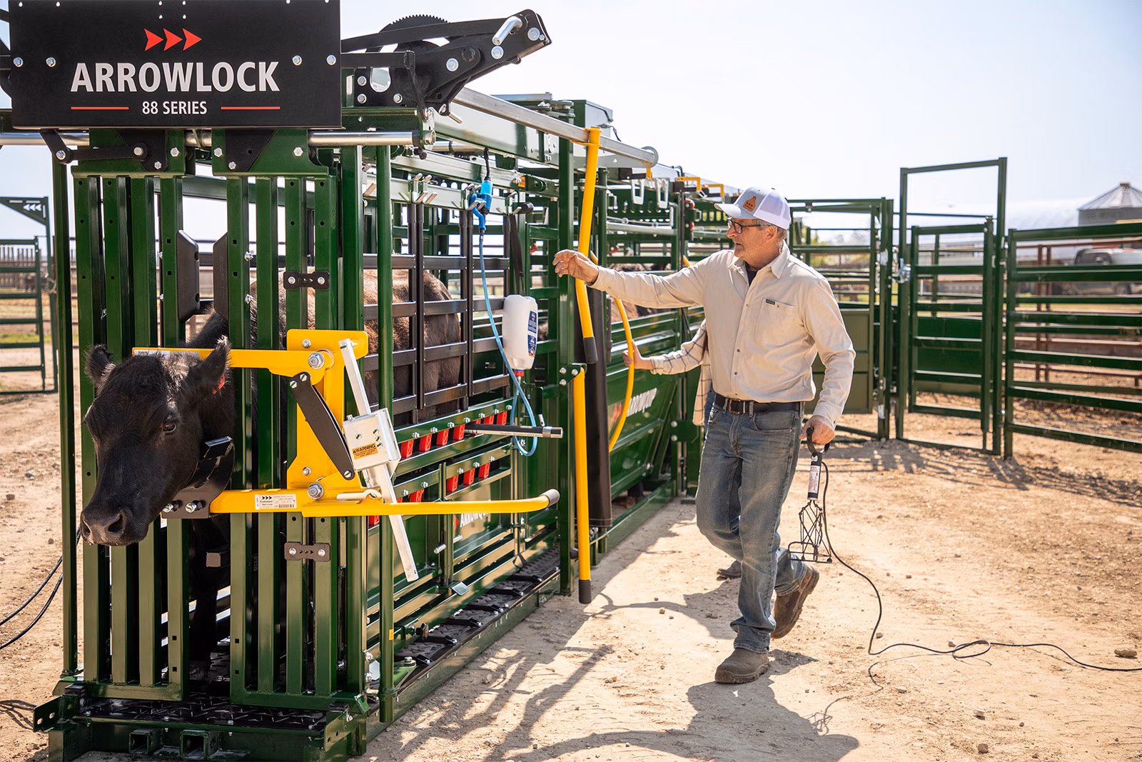 Man about to brand cow in Arrowlock 88 Series Cattle Chute