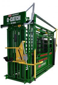 World-class Q-Catch 86 Series cattle chute