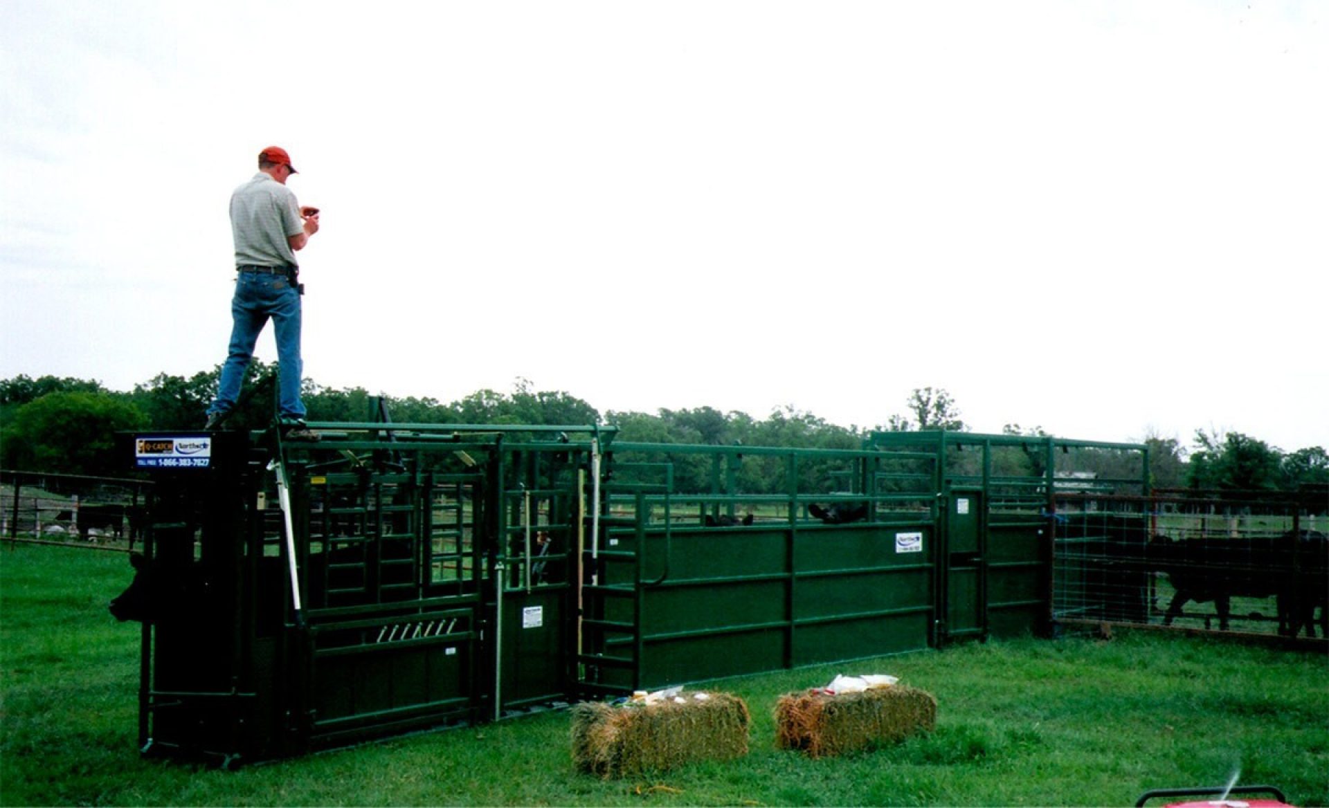 Man standing on top of old Arrowquip cattle chute