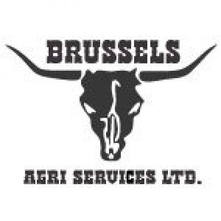 Brussels Online Logo