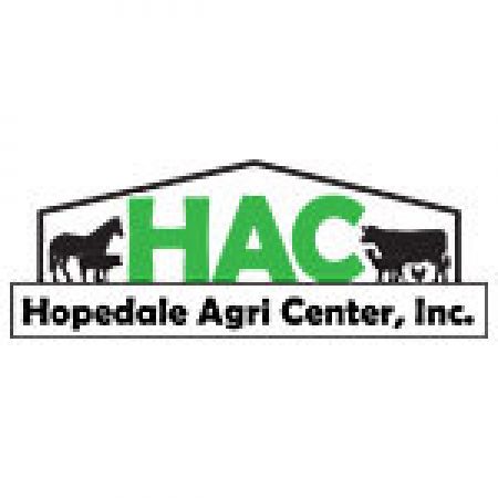 Hopedale Logo Online