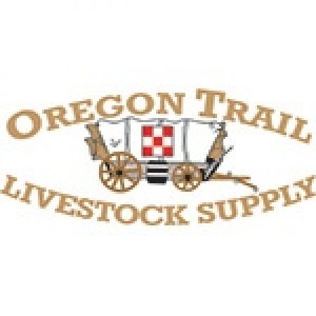 Oregon trail online