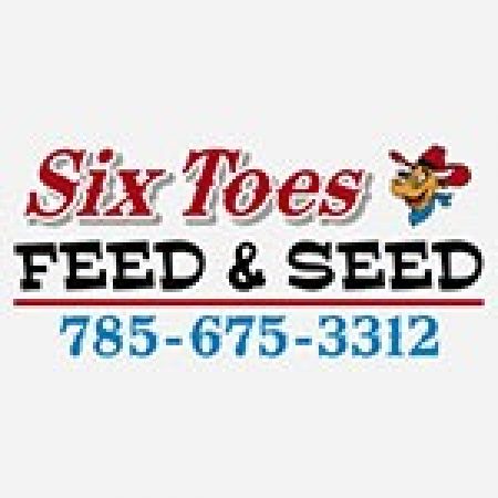 Six toes logo